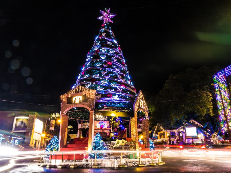 vale a pena investir em gramado e atrações